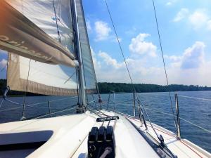 IMG-0499
